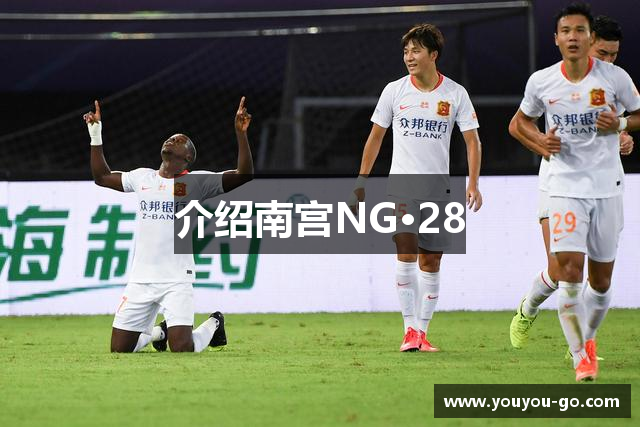 介绍南宫NG·28